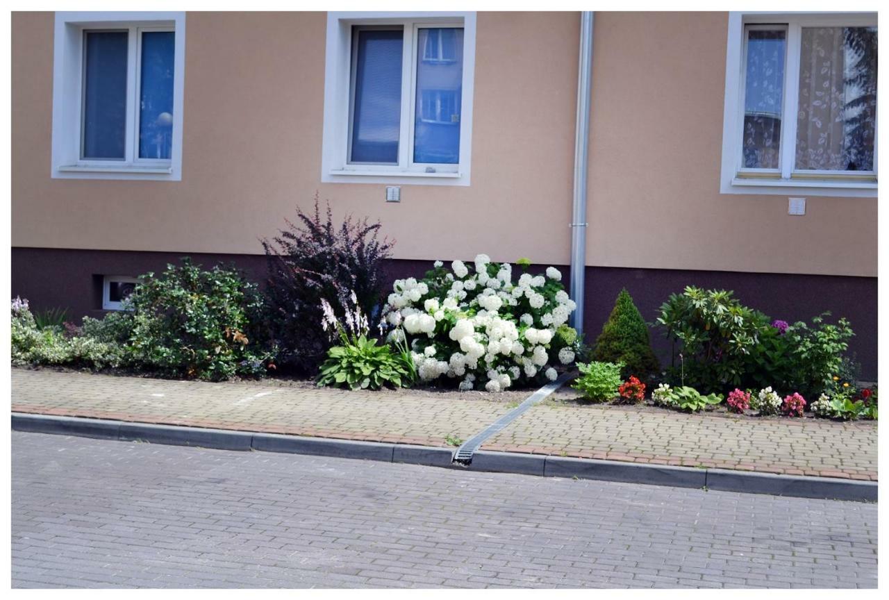 Color24 Apartament Stalowa Wola Buitenkant foto